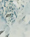 Papier peint Le Jaguar
