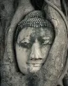 Papier peint zen bouddah Ayutthaya