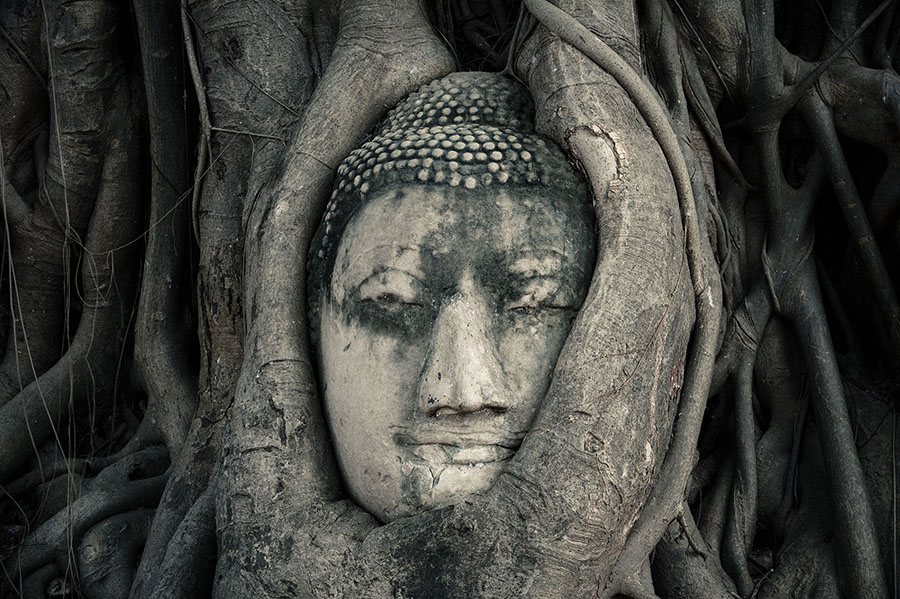Aperçu panoramique - Papier peint zen bouddah Ayutthaya